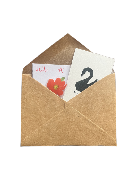 Snail Mail Subscription